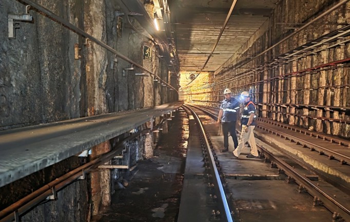 Proyecto relacionado con Ingeniería especializada